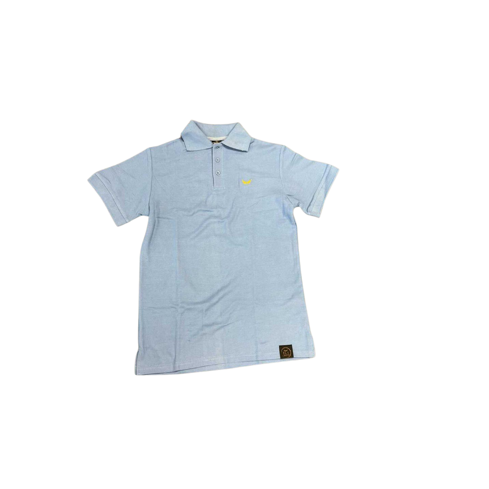 Classic Logo Polo T-Shirt (Boys) - FLY GUYZ