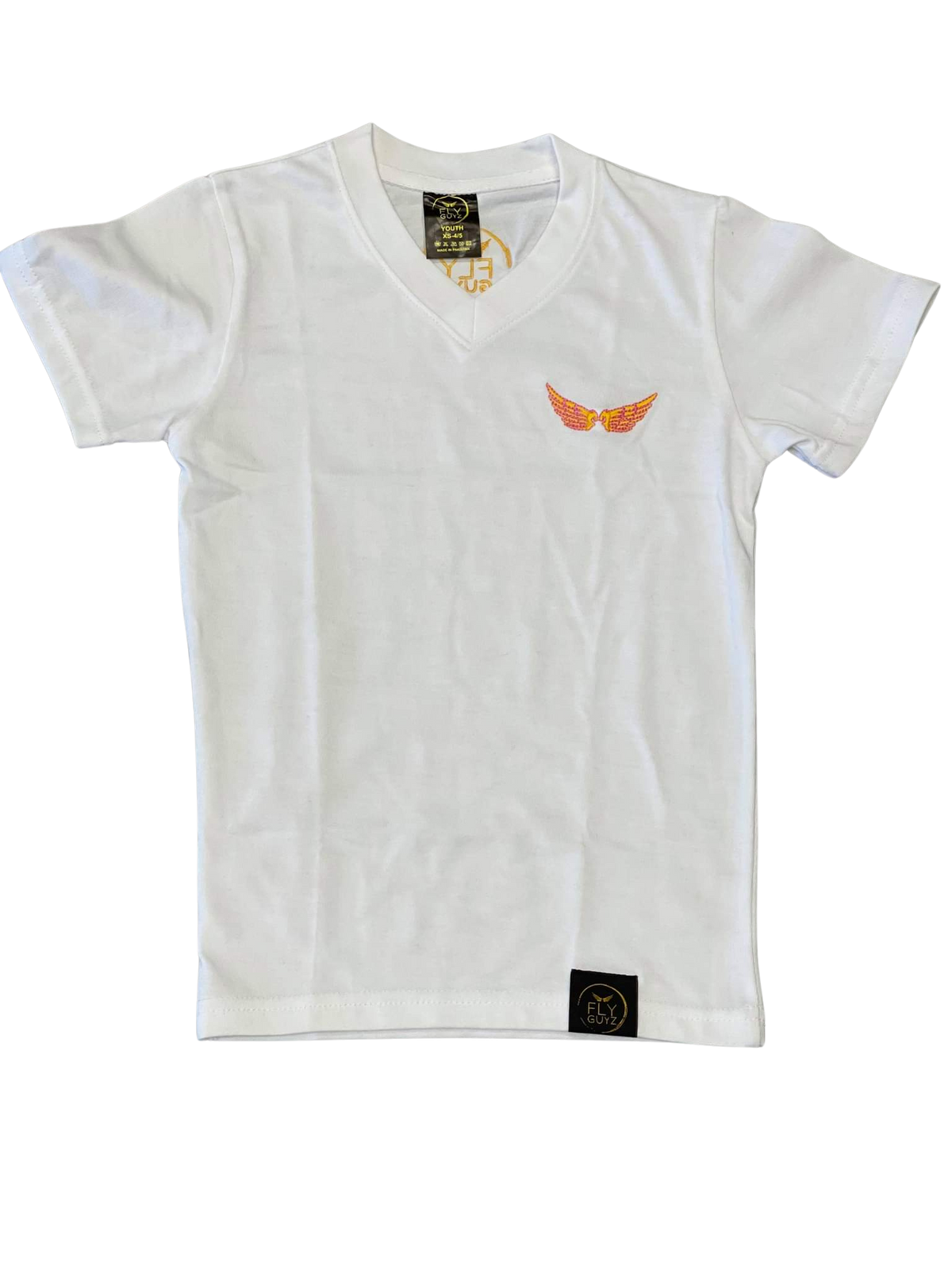 FGZ Embroidery Logo V-neck Tee (Men) - FLY GUYZ