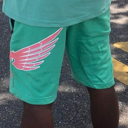 FGZ Wingside Shorts (Men)